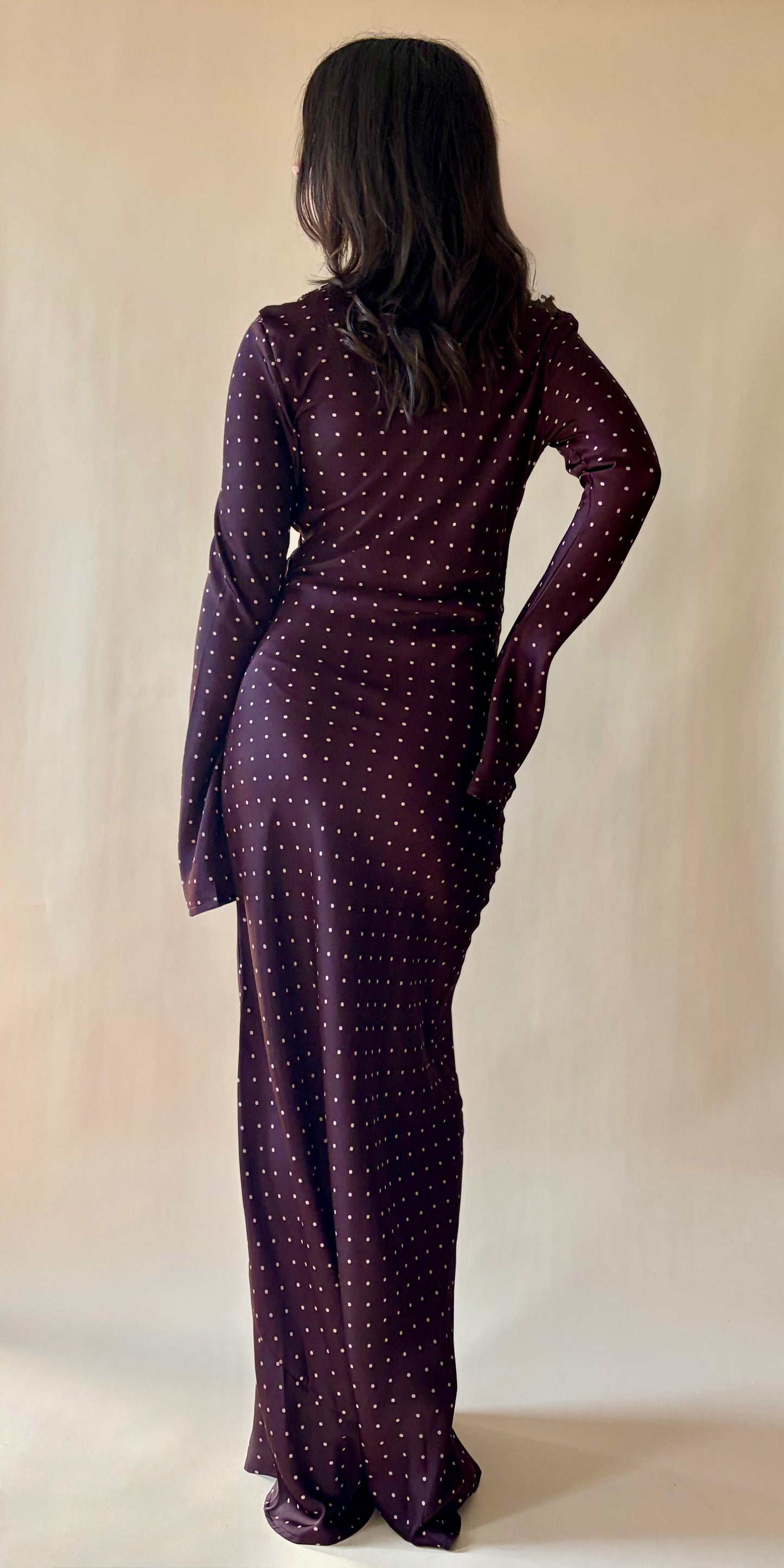 Rosewood Dot Dress